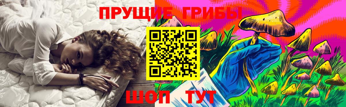 Бийск  Галлюциногенные грибы GOLDEN TEACHER  Вход с VPN 